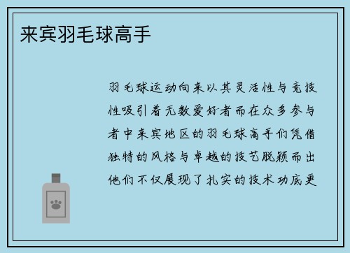 来宾羽毛球高手